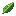 Spearmint Leaf
