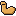 flexed biceps