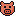 pig face